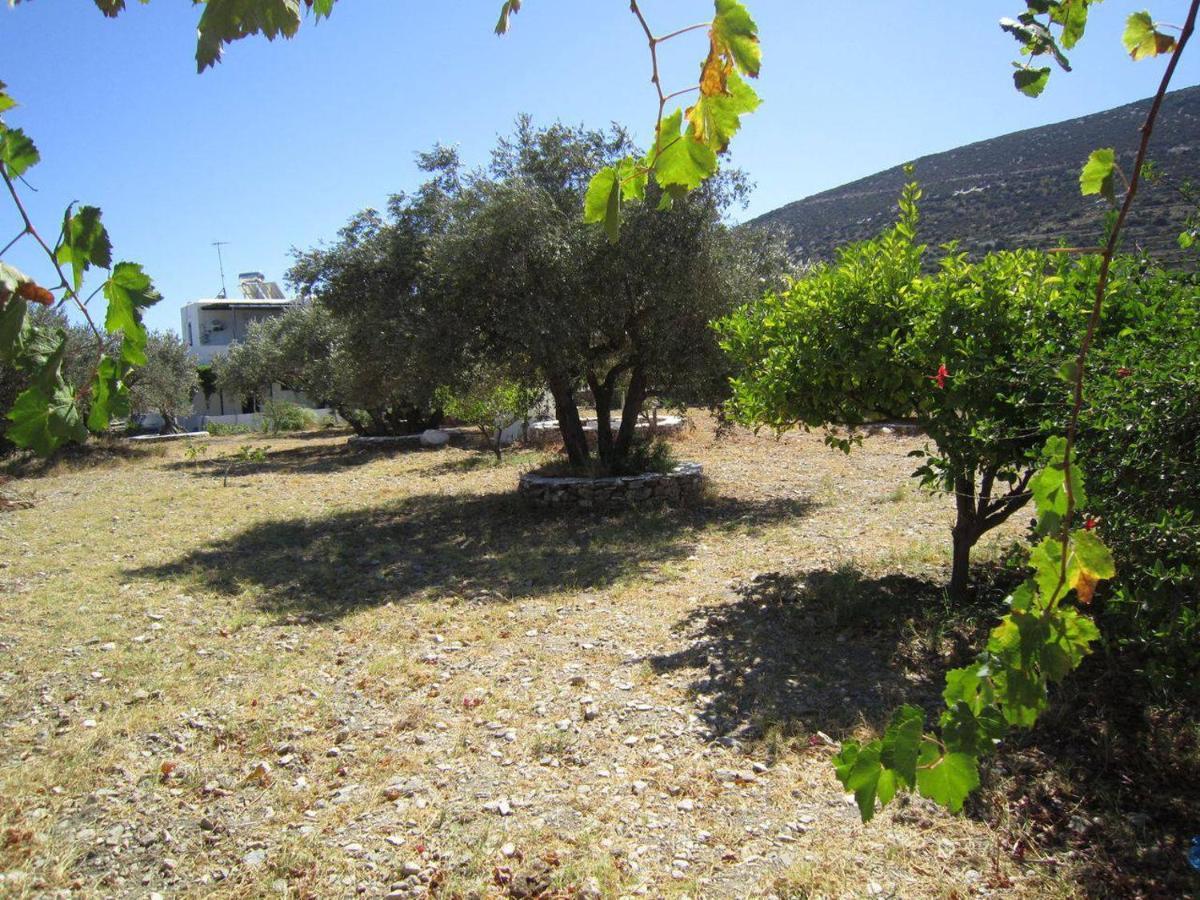 Elisso Villas Platis Gialos (Sifnos) Exterior foto