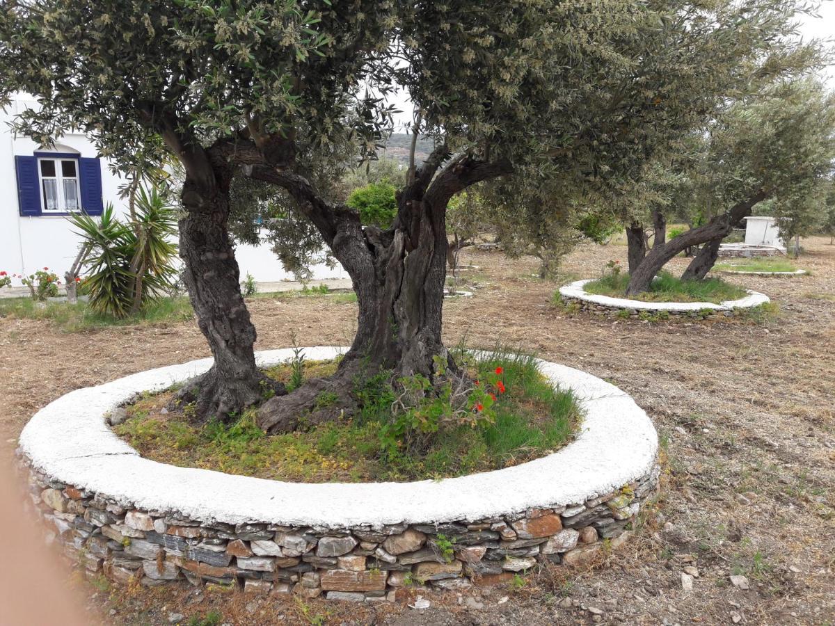 Elisso Villas Platis Gialos (Sifnos) Exterior foto