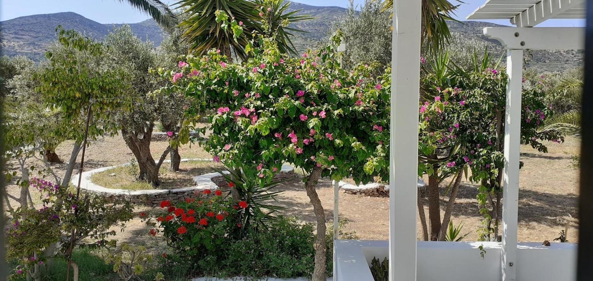 Elisso Villas Platis Gialos (Sifnos) Exterior foto